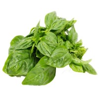 Thai Basil