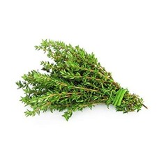 Thyme