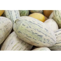 Torpedo Melon