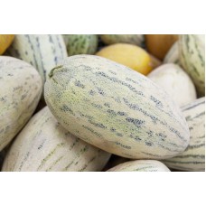 Torpedo Melon