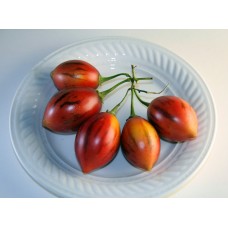Tree Tomato