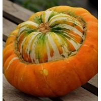 Turban Squash