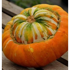 Turban Squash