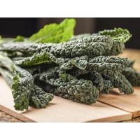 Tuscan Kale