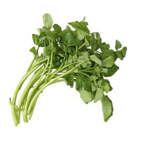 Upland Cress
