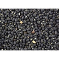 Urad Bean