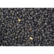 Urad Bean
