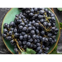 Uva Rara Grape