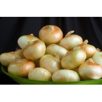 Vidalia Onions
