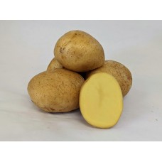Vivaldi Potato