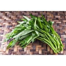 Water Spinach