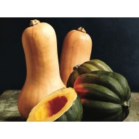 Winter Squash