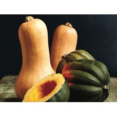 Winter Squash