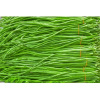 Yardlong Bean