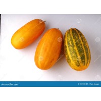 Yellow Cucumber