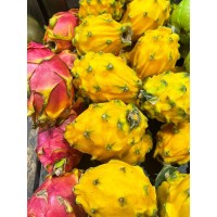 Yellow Dragon Fruit