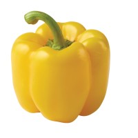 Yellow Pepper