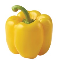 Yellow Pepper