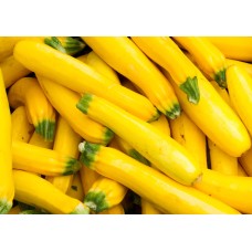 Yellow Squash