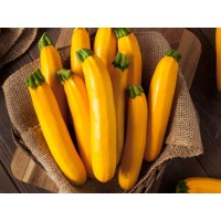 Yellow Zucchini