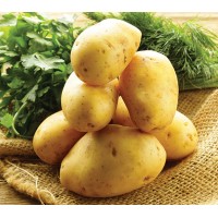 Yukon Gold Potato
