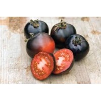 Indigo Rose Tomato