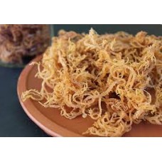 Irish Moss