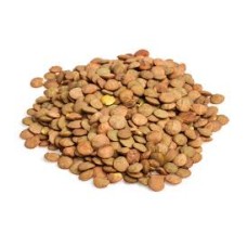 Lentil