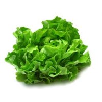 Lettuce