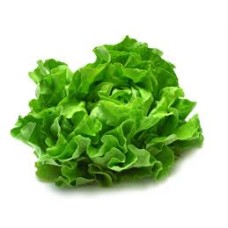 Lettuce