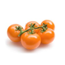 Orange Tomato