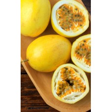 Yellow Passion Fruit